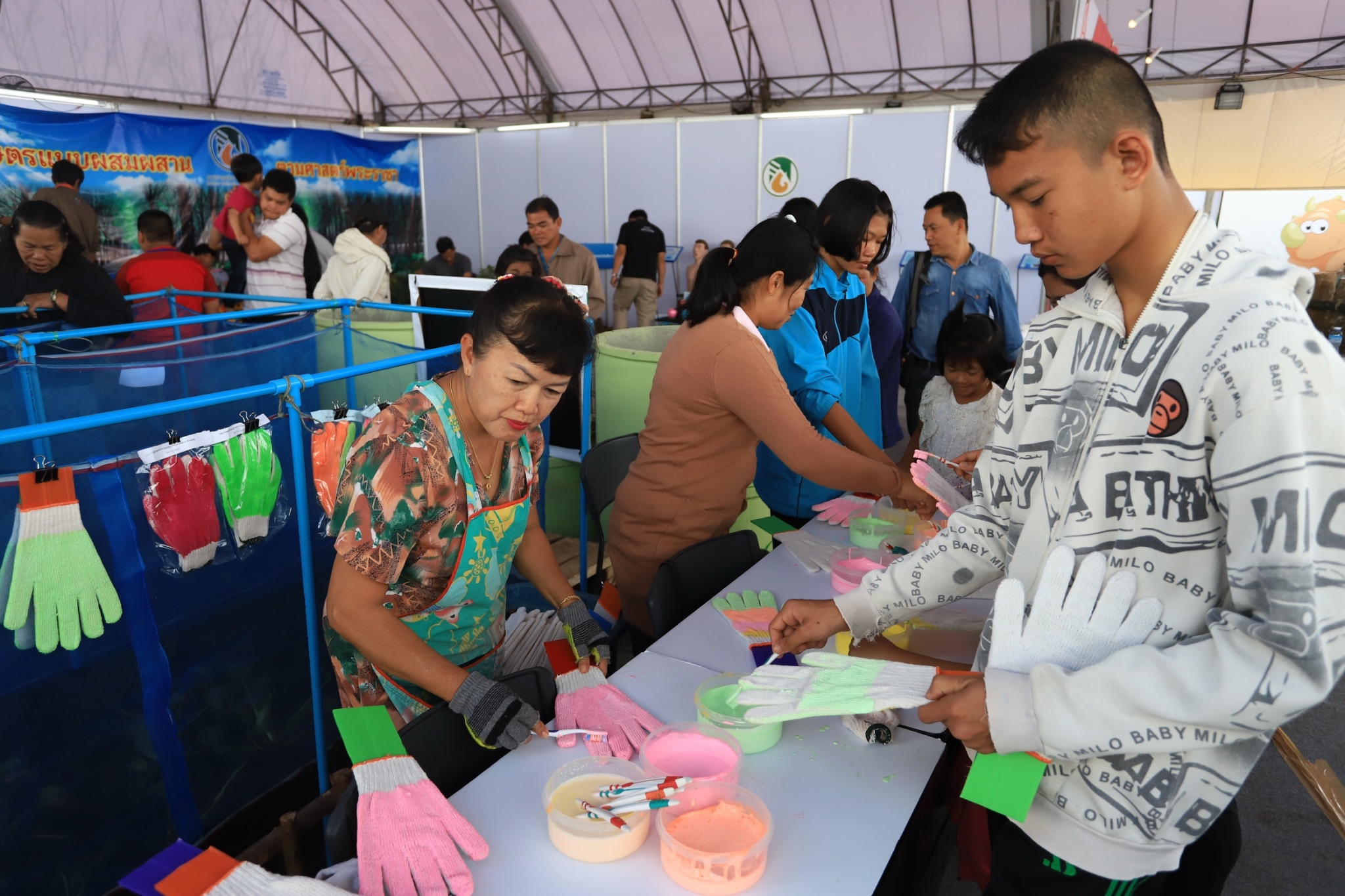 บึงกาฬ ชูนวัตกรรม “ยางพารา” ให้ความรู้เกษตรกร-คนรุ่นใหม่ ได้เเชมป์กรีดยาง ดันพัฒนาฝีมือ