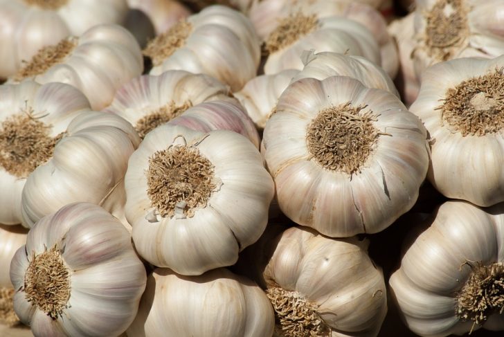 garlic-2097759_960_720
