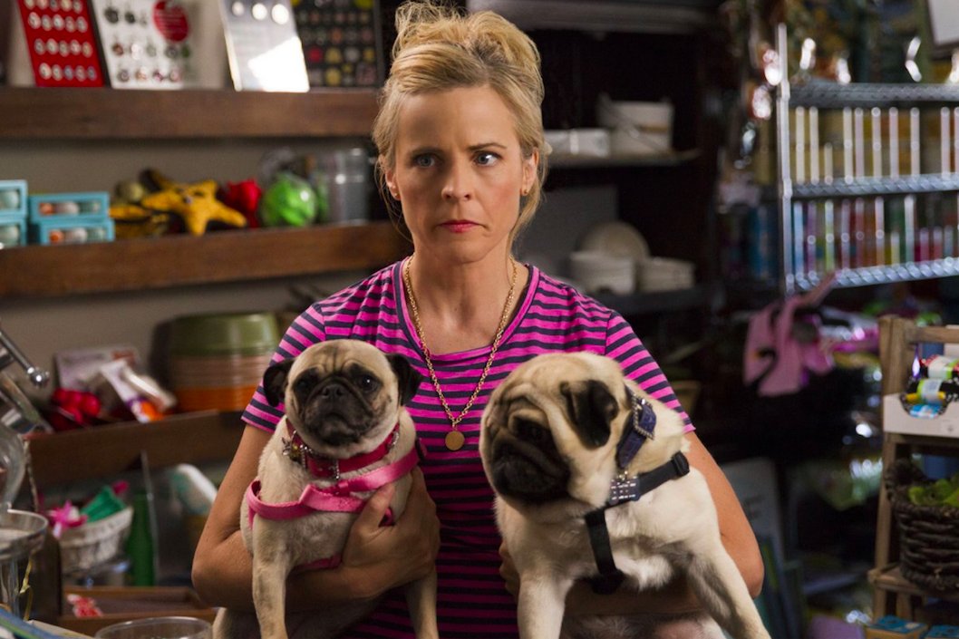 "Lady Dynamite" เลิกสร้างหลังจบซีซั่น 2