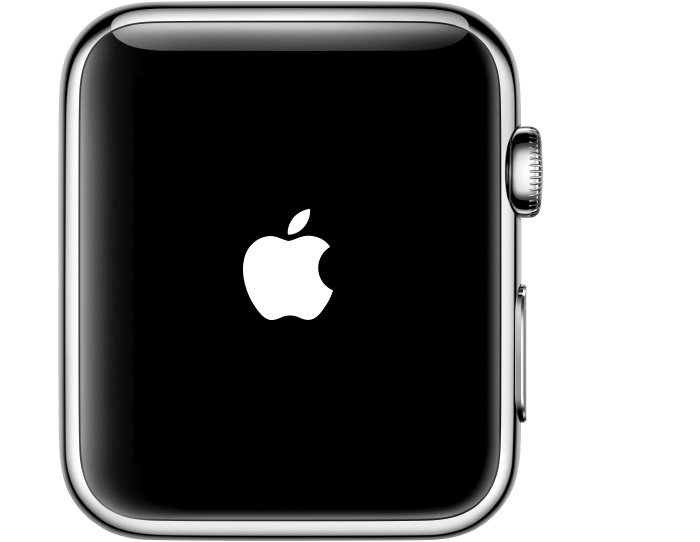 watch-reset-screen