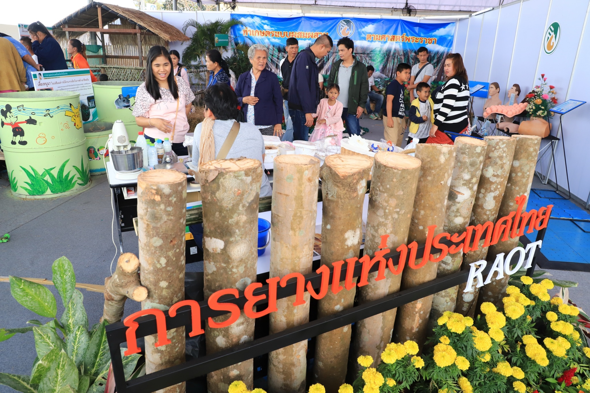 พ่อค้าเอเชียตบเท้า “ยางพาราบึงกาฬ”