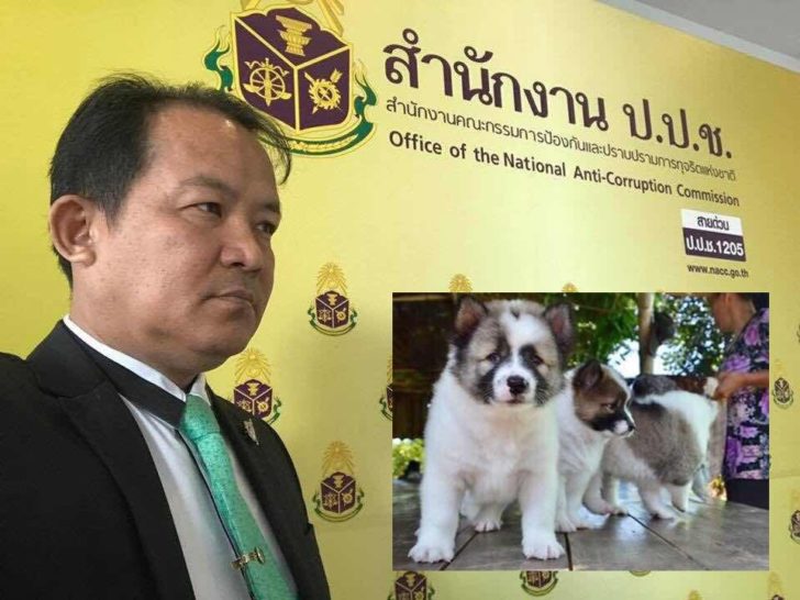 ซื้อต่อ! สมาคมพิทักษ์รธน.ประกาศรับซื้อ “น้องปรองดอง-น้องสมานฉันท์” 2 สุนัขบางแก้วต่อจาก “บิ๊กตู่”