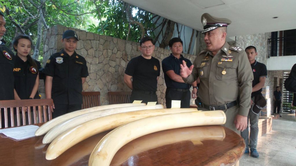“เปรมชัย” ส่ออ่วม “ศรีวราห์” สงสัยงาช้างผิดกฎหมาย