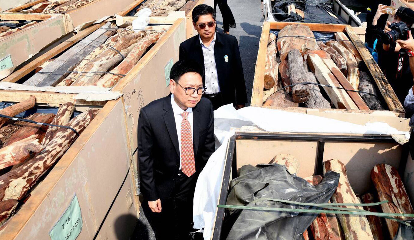 กรมศุลจับไม้พะยูง-ประดู่ 110 ตัน มูลค่า 100 ล้าน ซุกตู้คอนเทนเนอร์ เตรียมนำส่งฮ่องกง