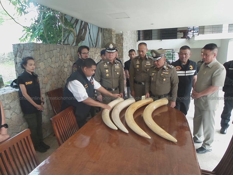 เปิดภาพกองงาช้าง-ปืน 43 กระบอก “บิ๊กอิตาเลียนไทย” หลังจนท.เข้าตรวจค้นบ้าน