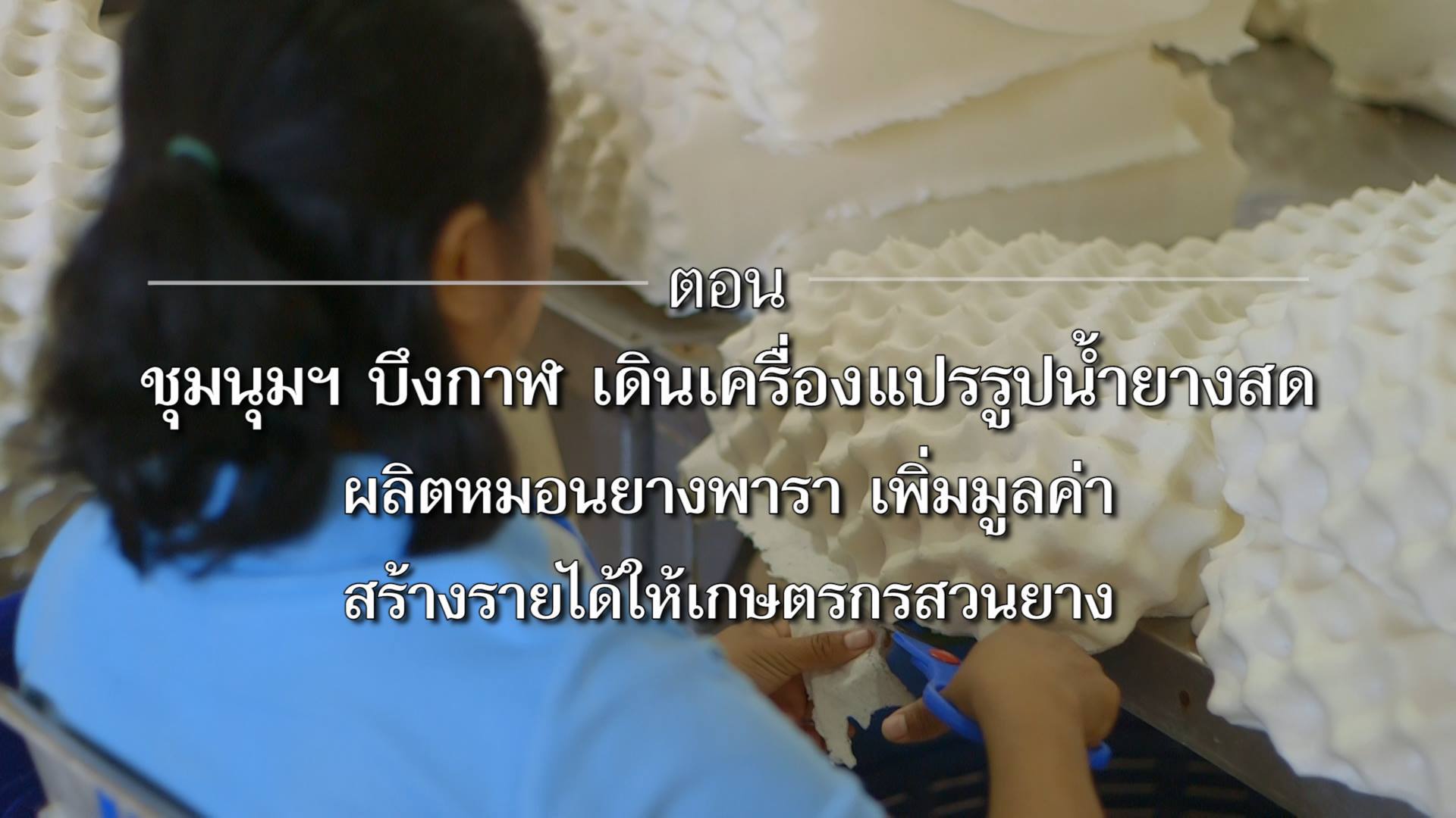 สารคดีเสียงจากแผ่นดิน season 2 EP.18 บึงกาฬหน้าเดิน รวมกลุ่มสหกรณ์ จัดตั้งชุมนุม รับซื้อน้ำยางสด แปรรูปหมอนยางพารา