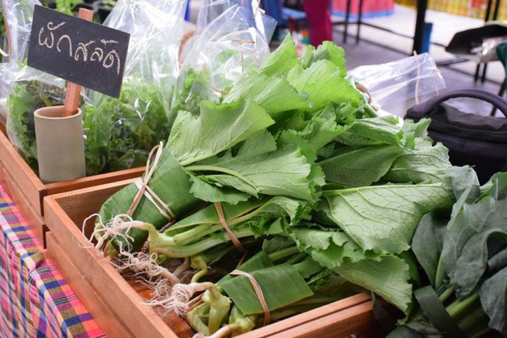 28471855_1670809762999446_3486964119207348724_n