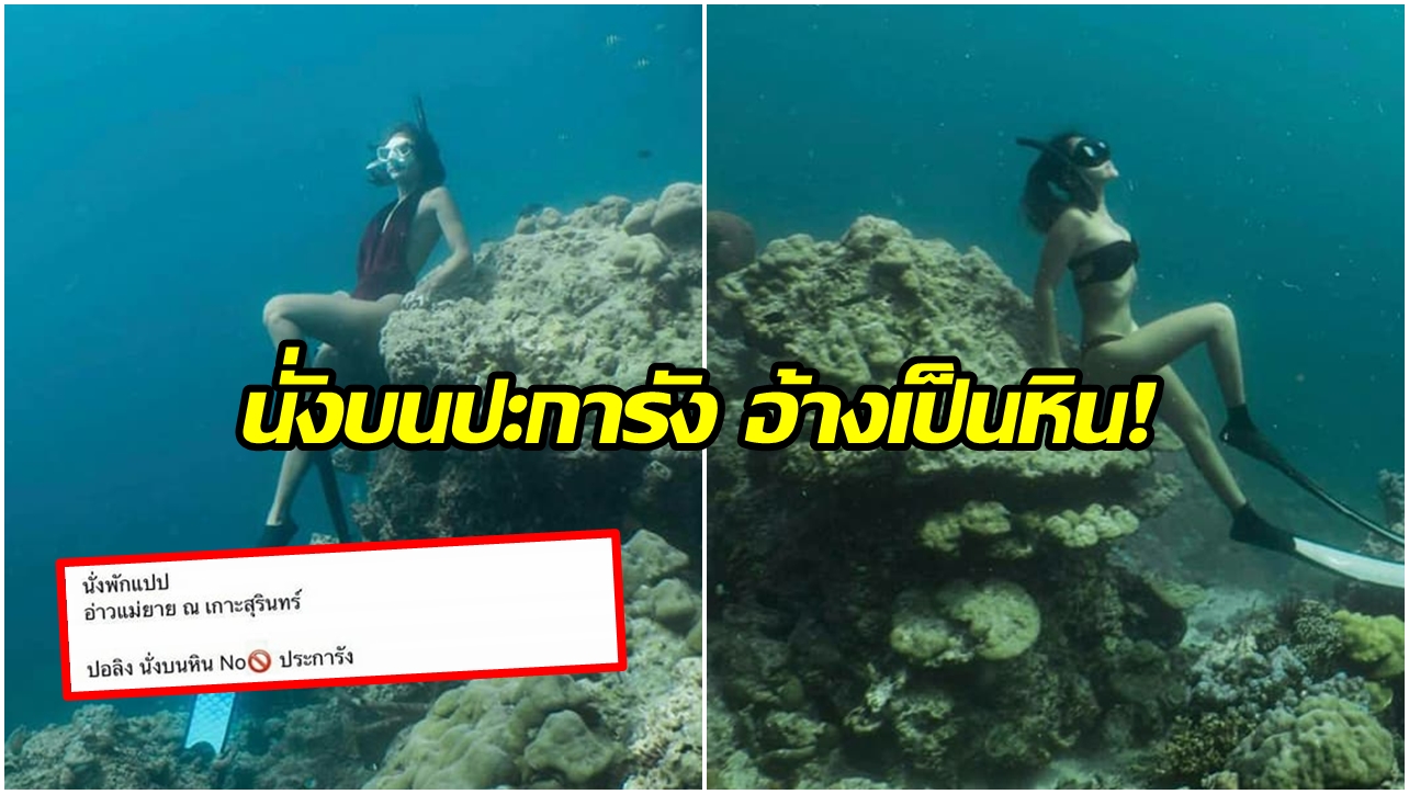 ไม่ได้มีแค่ประเด็นฆ่าสัตว์! แห่แชร์ภาพสาวลักลอบเข้าอ่าวแม่ยายโพสต์ท่าบนปะการัง อ้างนั่งบนหิน