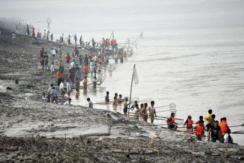 รัฐบาลจีน เริ่มกำหนดช่วงเวลา “ห้ามจับสัตว์น้ำ” ในเเม่น้ำฮวงโห
