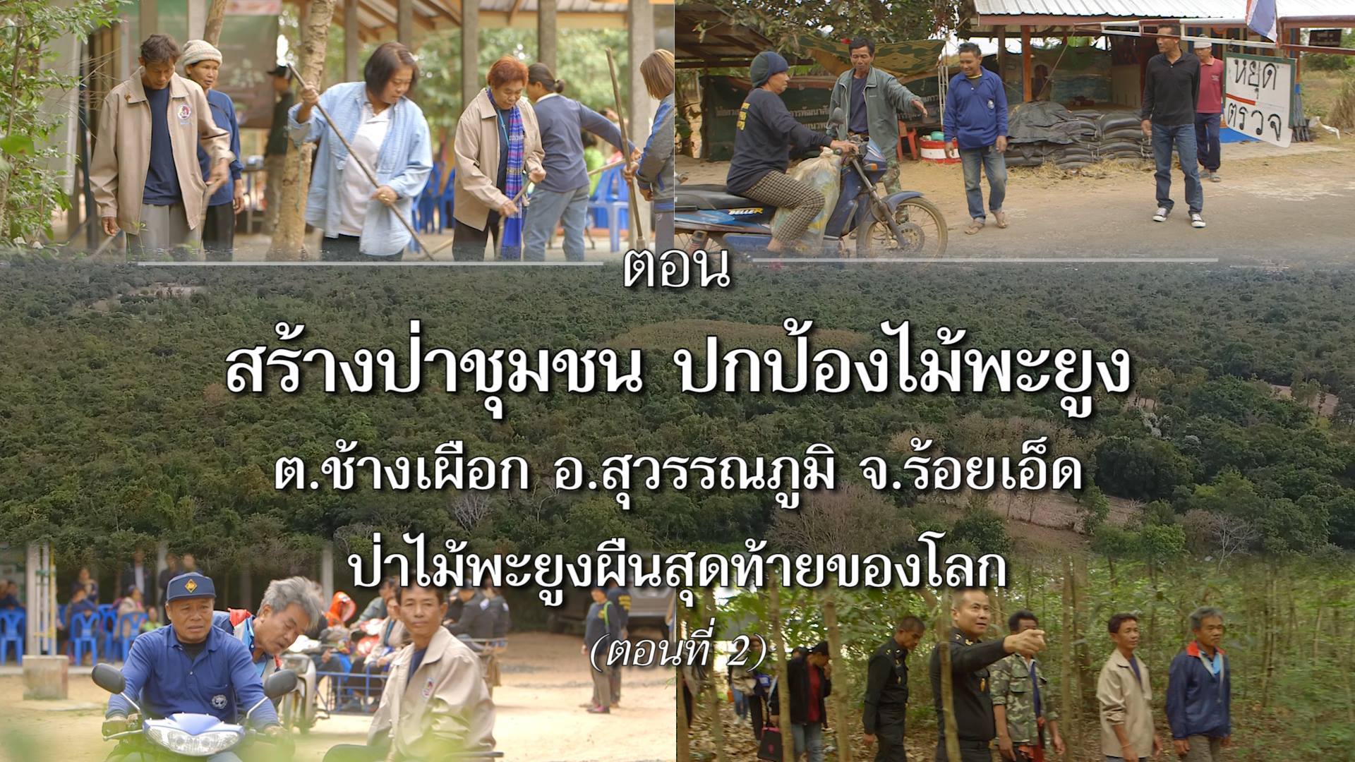 สารคดีเสียงจากแผ่นดิน season 2 EP.17 สร้างป่าชุมชนไม้พะยูง ป่าไม้พะยูงผืนสุดท้ายของโลก ตอนที่ 2