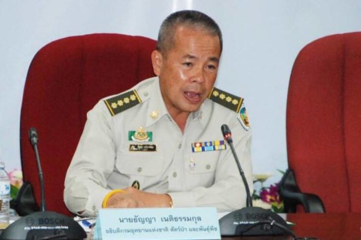 อธิบดีกรมอุทยานฯ ลั่นไม่ไว้หน้าใคร หลังจับ “บิ๊กอิตาเลียนไทย” กลางทุ่งใหญ่พร้อมซากสัตว์ป่าคุ้มครอง