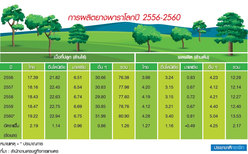 มหากาพย์แก้ยางตกต่ำ รัฐดันมาตรการ “หยุดกรีด” ดันราคา