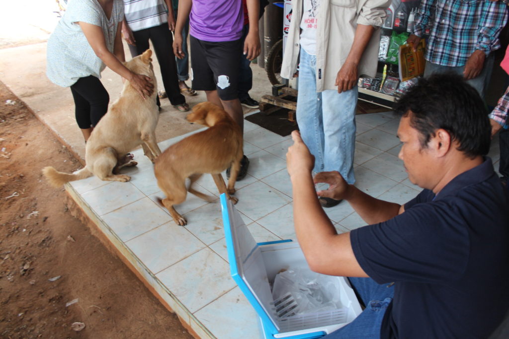 โคราชพบเชื้อสุนัขบ้าเพิ่ม-ประกาศเขตระบาดเป็น 11 อำเภอแล้ว