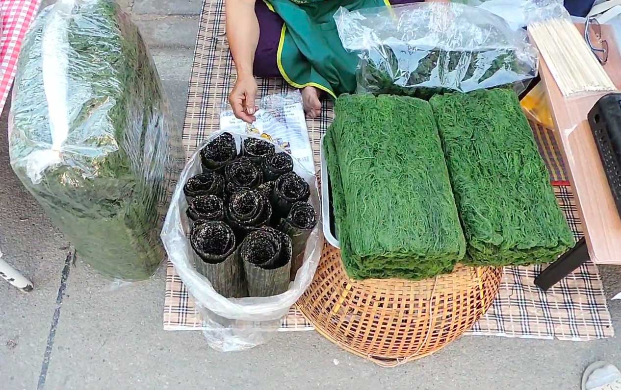 ชาวบ้านอ.เชียงของ พลิกวิกฤตน้ำแห้งในรอบปีแห่เก็บ “ไก” สาหร่ายแม่น้ำโขง