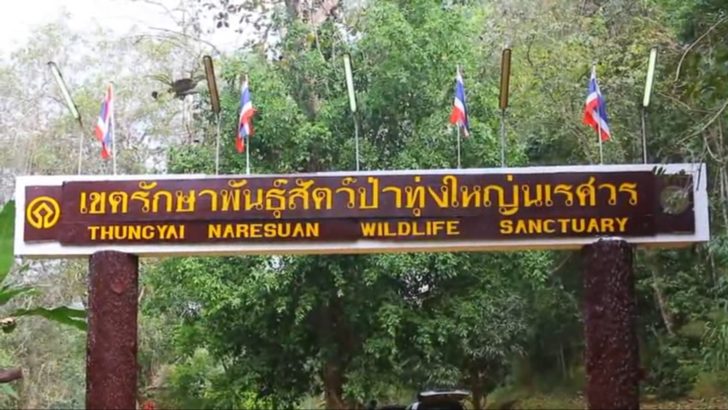 ตำรวจเข้าป่าสอบ “วิเชียร” คดีสินบนตามนโยบาย “ศรีวราห์”
