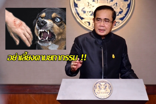 “บิ๊กตู่” แนะเจ้าของพาสุนัขฉีดวัคซีน “อย่าเลี้ยงตามยถากรรม” หลังโรคพิษสุนัขบ้าระบาด