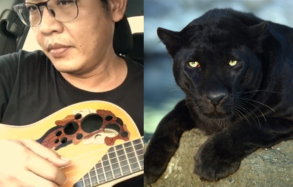 เจ็บปวดแต่โดนใจ! “สุเมธ องอาจ” แต่งเพลง “สัตว์นรกแห่งทุ่งใหญ่” ปมเศรษฐีล่าเสือดำ