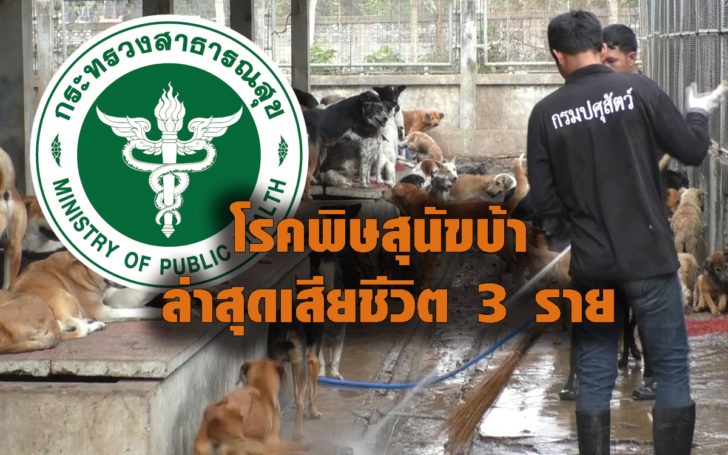 5 หน่วยงานรัฐร่วมขจัด “พิษสุนัขบ้า” สธ.ย้ำควบคุมได้ เผยปี 61 เสียชีวิต 3 ราย