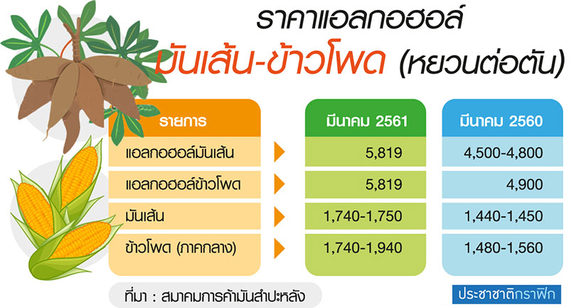 หัวมันสดราคาพุ่งโลละ 3 บาท ของขาดตลาด-ระวังมันเส้นเขมรทะลัก