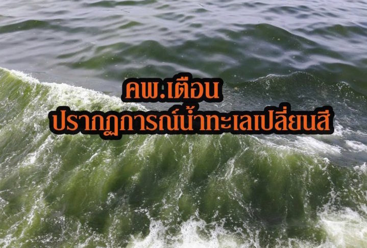 คพ.เตือนภัย ปรากฏการณ์น้ำทะเลเปลี่ยนสี