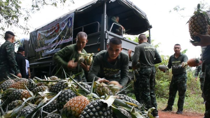 260561_เรงขายสบปะรด_2-728x410