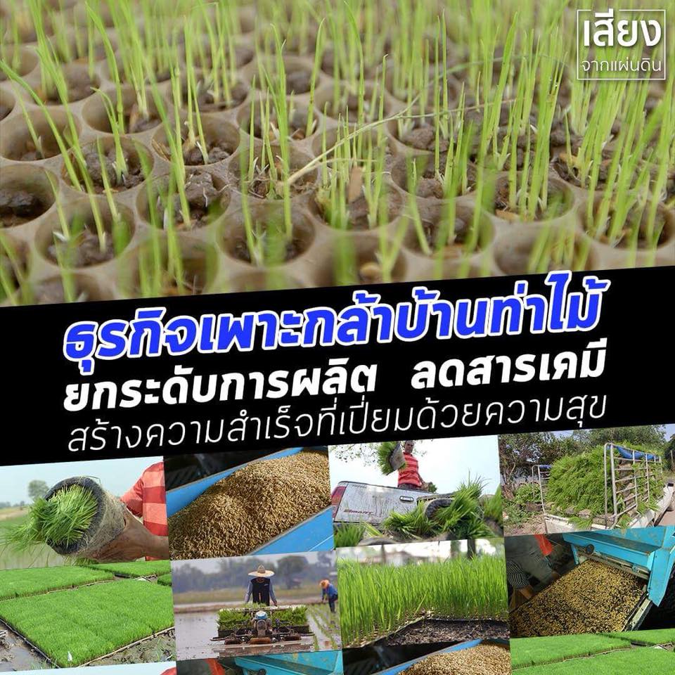 สารคดีเสียงจากแผ่นดิน season3 EP.4 “ธุรกิจเพาะกล้าบ้านท่าไม้ ยกระดับการผลิต สร้างความสำเร็จที่เปี่ยมสุข”