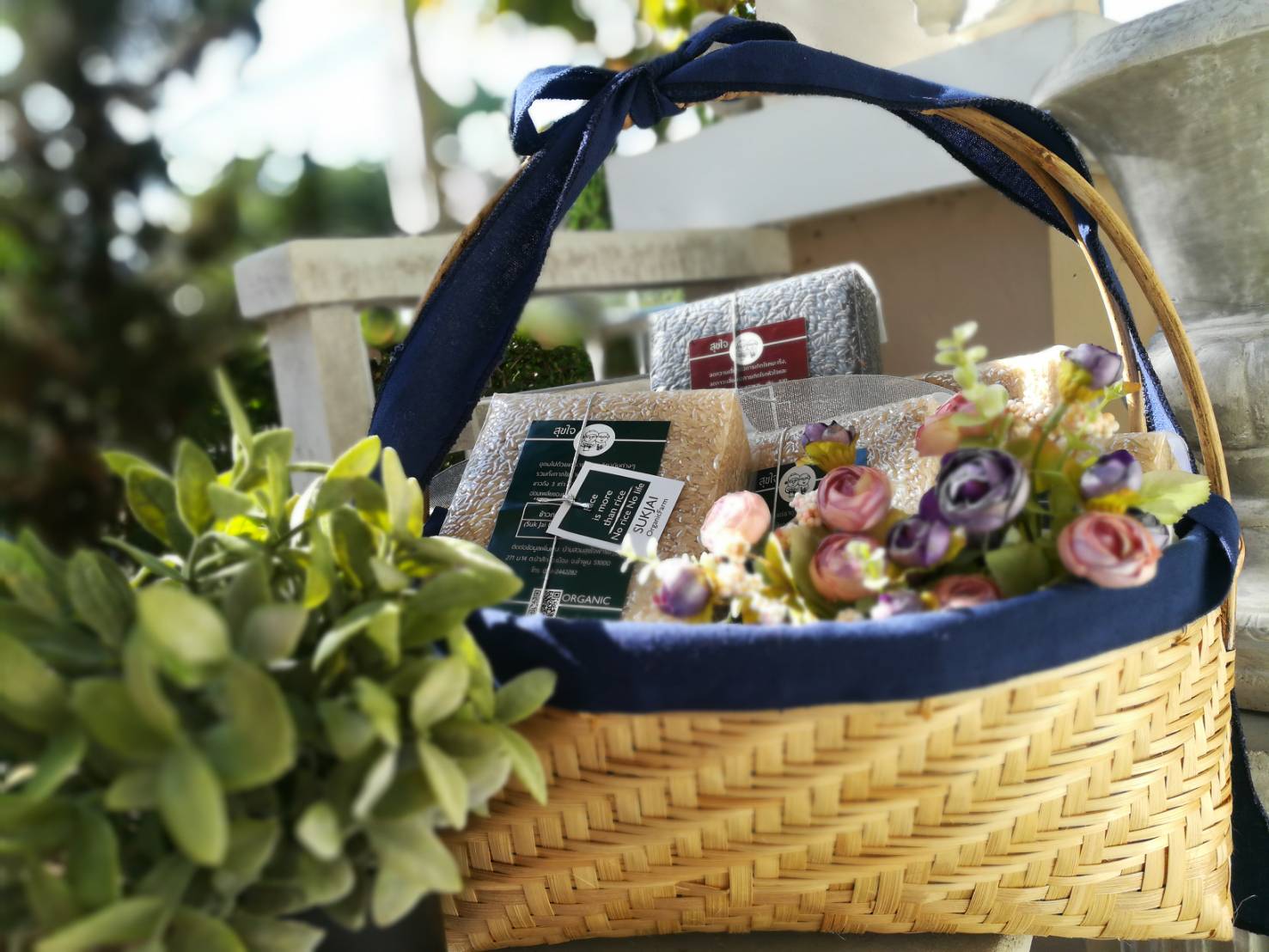 Suk Jai Organic Farm สุขที่ได้เกื้อกูล สุขที่ได้แบ่งปัน