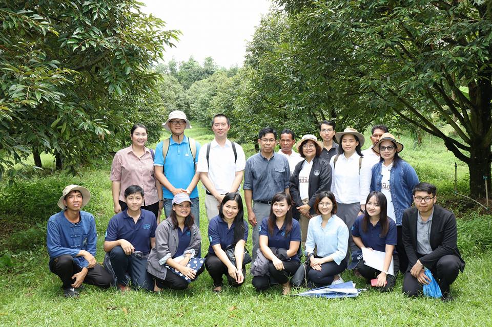 กรมส่งเสริมฯนำตัวแทนอาลีบาบาดูสวนทุเรียน-เจรจาการค้ากับ 5 สหกรณ์ภาคตอ.