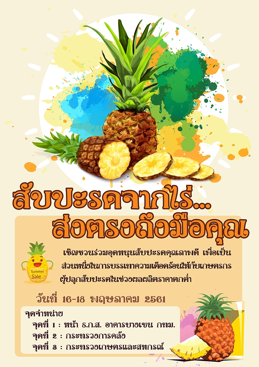 ธ.ก.ส.สนับสนุน สกต.และ SMAEs ช่วยเกษตรกรผู้ปลูกสับปะรด