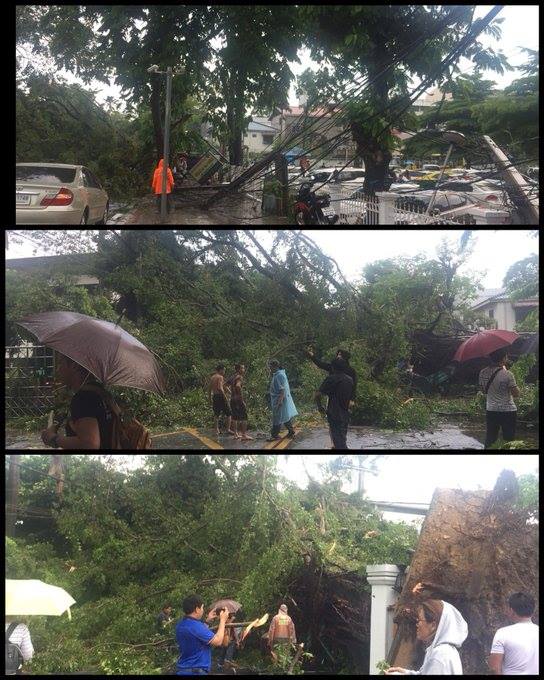 อ่วม! กรุงเทพฯฝนหนัก-ลมกระโชกแรง ต้นไม้ล้มทับรถ-พาดเสาไฟ