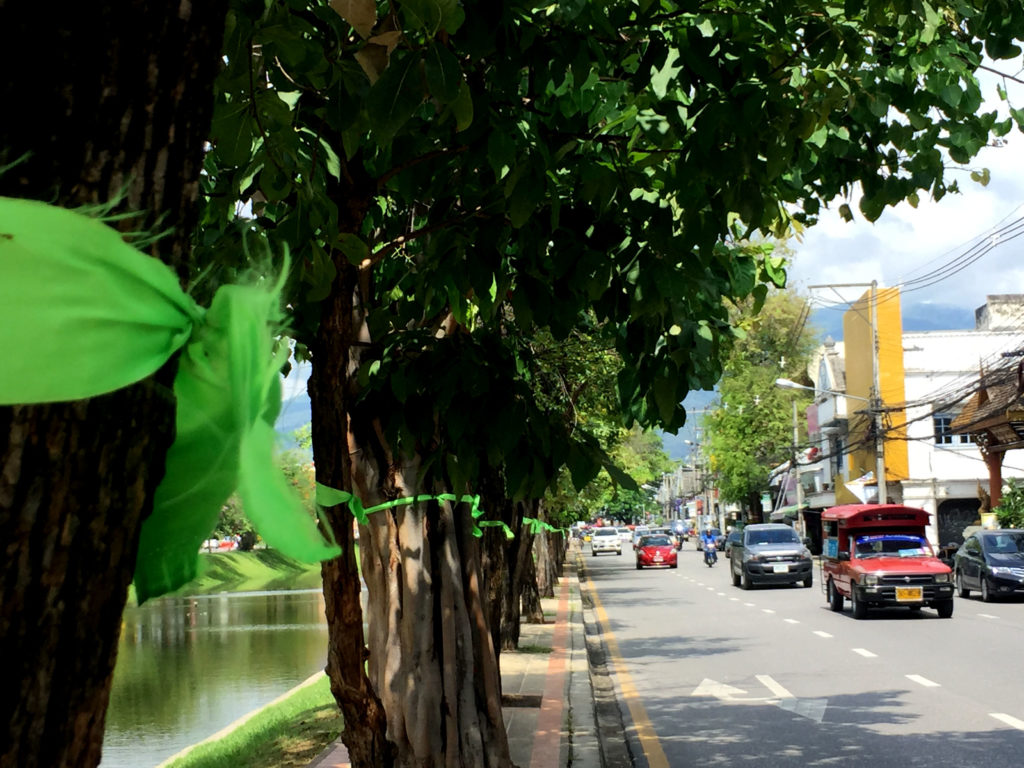 “เชียงใหม่” แสดงพลัง “ติดริบบิ้นเขียว” ทั้งเมืองประกาศจุดยืนรื้อบ้านพักตุลาการ