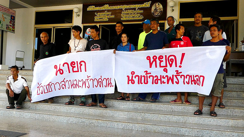 ชาวสวนร้องรัฐ แก้ลักลอบนำเข้ามะพร้าว…ทำราคาดิ่ง !