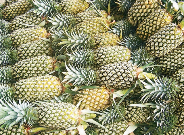 14859482311485948290l