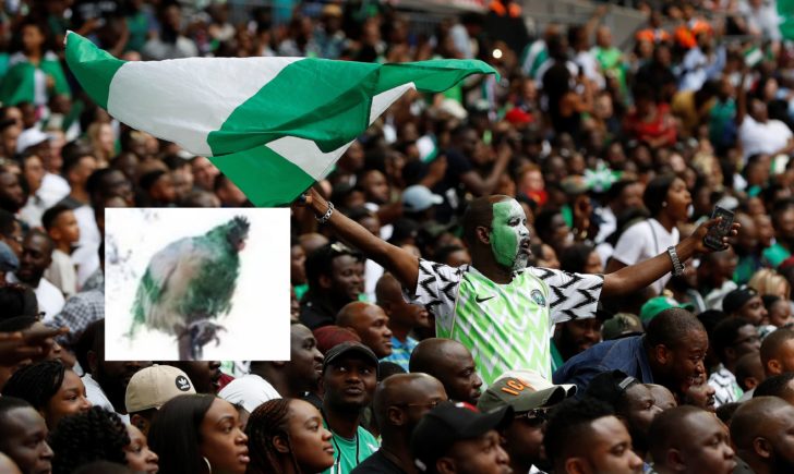 2018-06-02T165712Z_738068189_RC1385E804C0_RTRMADP_3_SOCCER-WORLDCUP-ENG-NGA