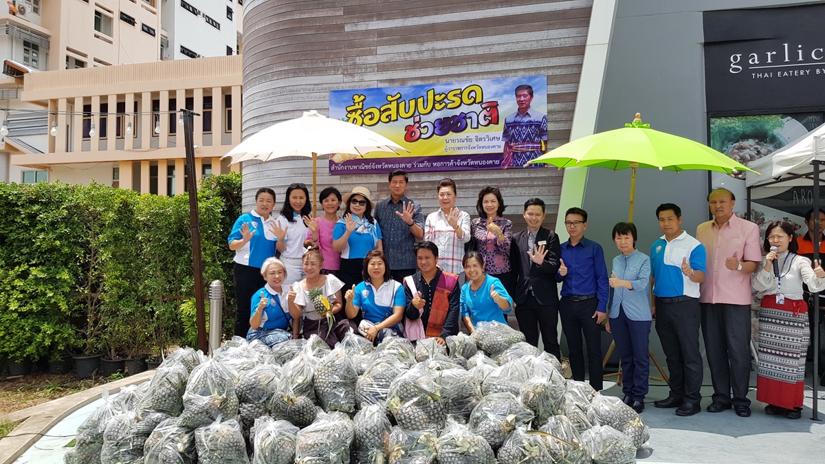 ผู้ว่าฯหนองคายผุด “โครงการซื้อสับปะรดช่วยชาติ” หวังหนุนเกษตรกรช่วงราคาตก