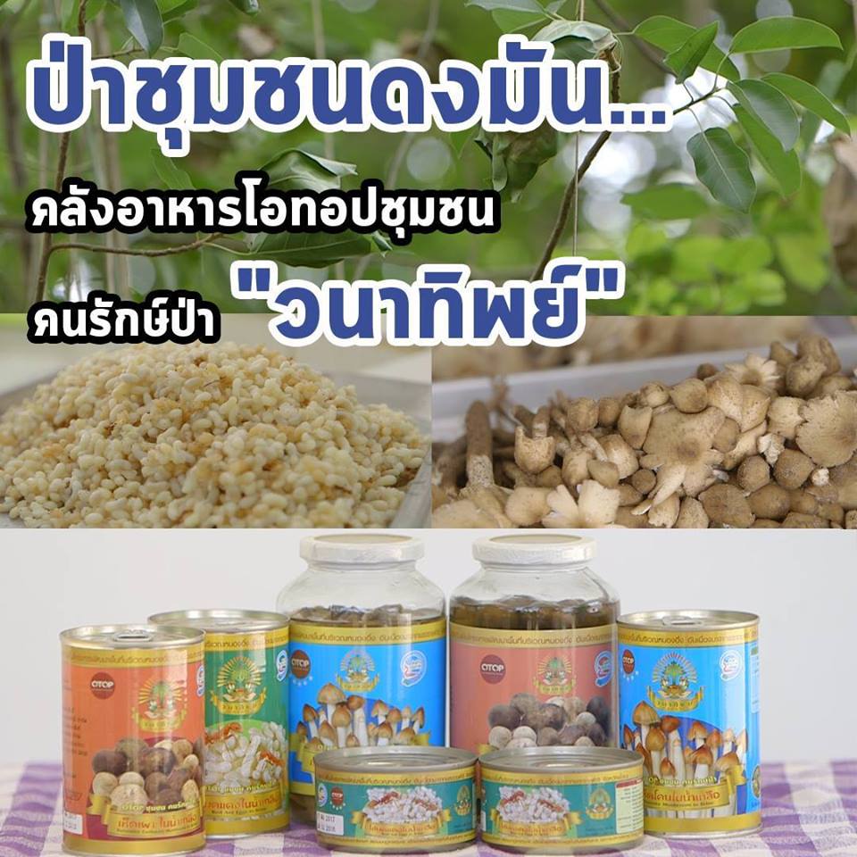 สารคดีเสียงจากแผ่นดิน season3 EP.9 “ป่าชุมชนดงมัน…คลังอาหารโอทอปคนรักษ์ป่า”