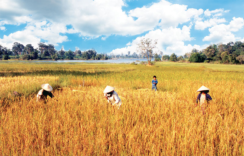 ตลาดเกษตรอินทรีย์ในสหภาพยุโรป