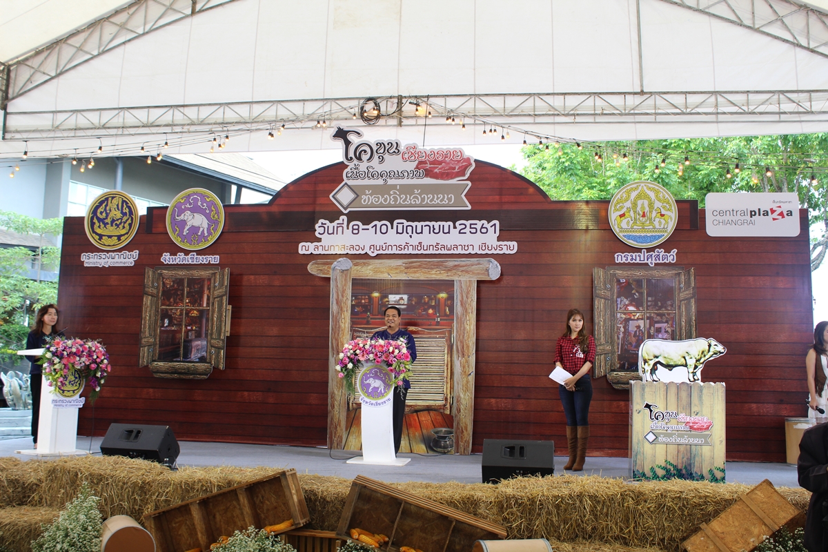 เชียงรายลุยจัดงานโคขุน หวังสร้างอาชีพใหม่ พร้อมดันเปิดโรงเชือดมาตรฐาน