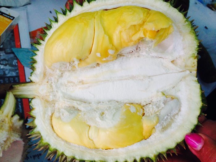 พารู้จัก “สาลิกา” สุดยอดทุเรียนพังงา !!