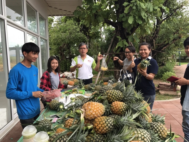 ปตท. อุ้มชาวไร่ เปิดพื้นที่ปั๊ม และอาคารสำนักงานใหญ่ให้ขายสับปะรด