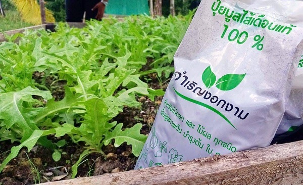 “ตรัง” ผลิตปุ๋ยมูลไส้เดือนต่อยอดเกษตรอินทรี