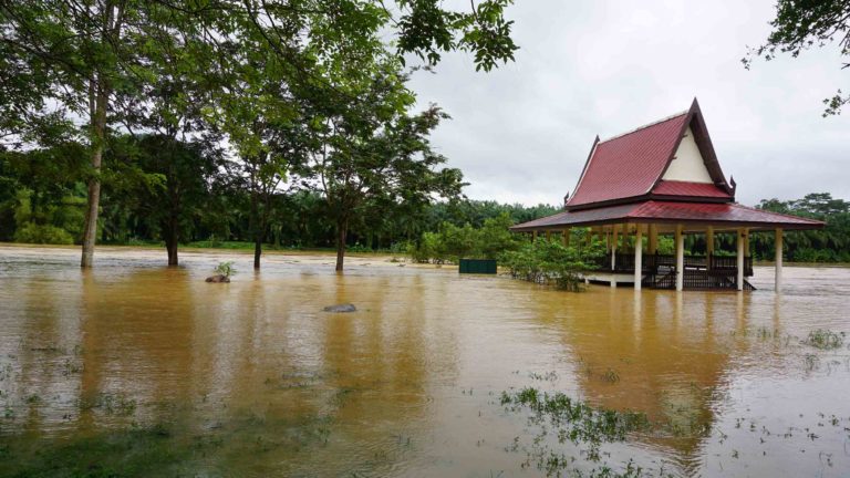 ชุมพรน้ำป่าทะลัก! ท่วมสวนสมเด็จย่า จ่อเข้าตัวเมืองเศรษฐกิจ