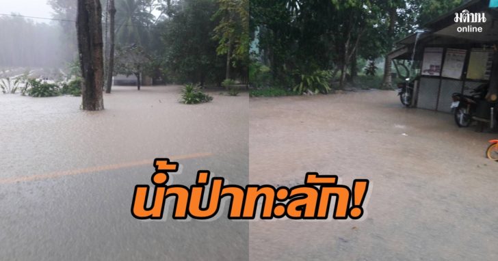 เมืองตรัง ฝนตกหนักทำน้ำป่าไหลทะลักท่วม อ.กันตัง ปิดทางเข้าหมู่บ้านยาว 1 กม.