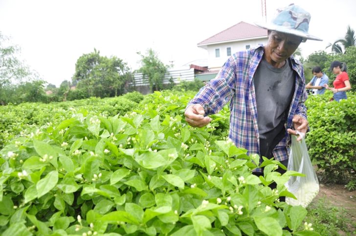 คาดเงินสะพัดช่วงวันแม่ 13,746.8 ล้าน สูงสุดในประวัติการณ์ เหตุปชช.มีความพร้อมในการใช้จ่าย