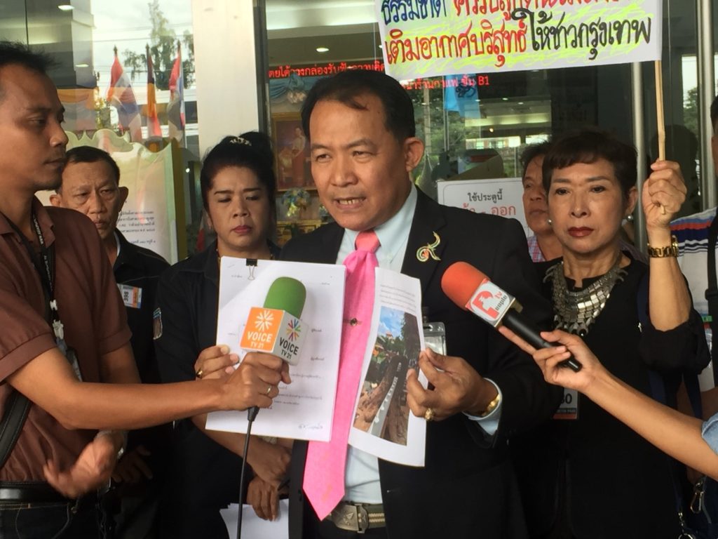 “ศรีสุวรรณ” ฟ้องผอ.จตุจักร-ผู้ว่าฯกทม.ตัดต้นจามจุรี พร้อมฟ้องทุกเขตที่ตัดต้นไม้