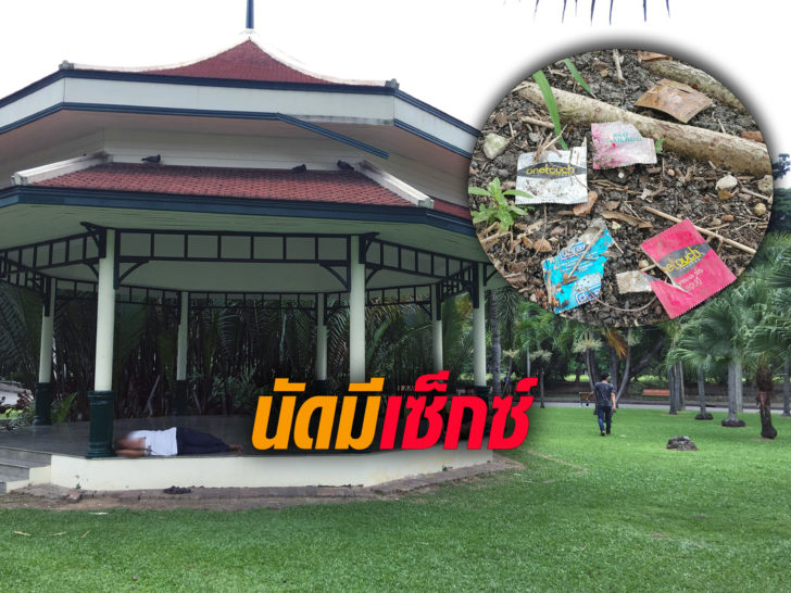 อึ้ง! กทม.รับมี “กลุ่มคนนัดมีเซ็กซ์” ในสวนลุมฯจริง สั่งจนท.ตรวจเข้ม 35 สวนทั่วกรุง