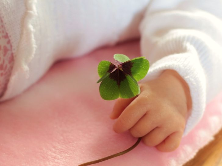 four-leaf-clover-1892660_960_720