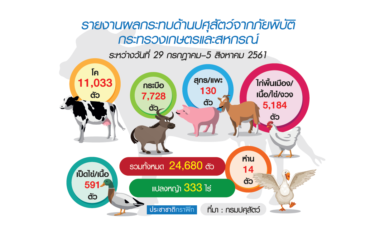 น้ำท่วม 6 จังหวัด กระทบสัตว์ 2.4 หมื่นตัว