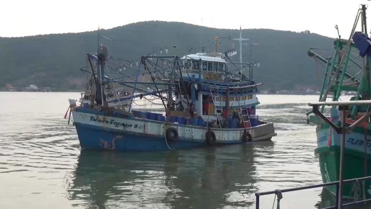“กรมประมง” แจงมาตรการรัฐรับซื้อเรือคืน มุ่งบริหารจัดการทรัพยากรให้ยั่งยืน ไม่เอื้อประโยชน์ใคร