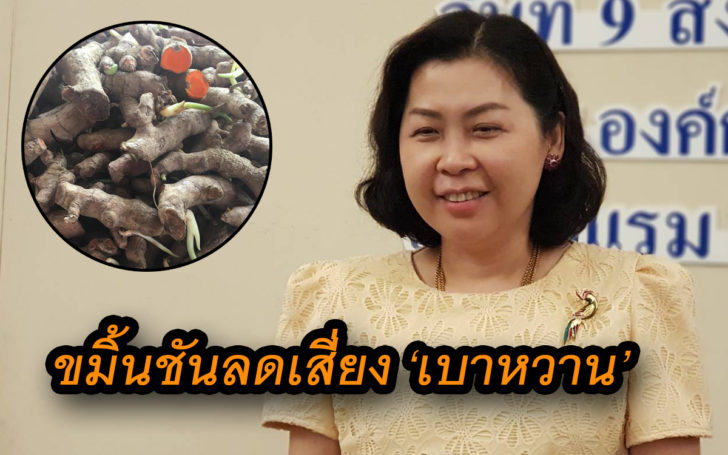 นักวิจัย มศว ชูผลศึกษาทางคลินิก กิน ‘ขมิ้นชัน’ ลดเสี่ยงเป็นเบาหวาน